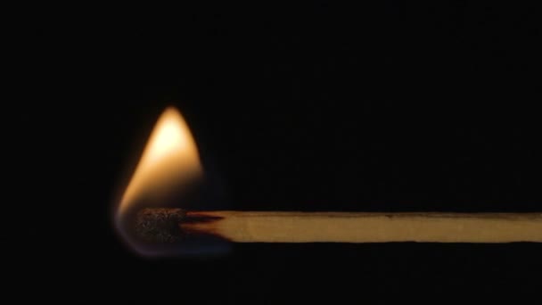 Wooden match burning horizontal — Stock Video