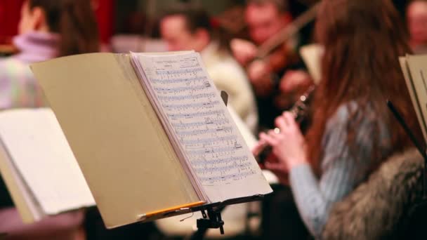 Frau spielt klassische Musik — Stockvideo