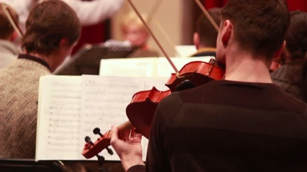 Male playing violin instrument — Stock Video