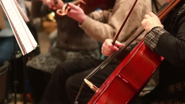Koncert muzyki klasycznej — Wideo stockowe