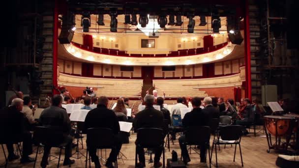 Klasik orkestra canlı müzik çalma — Stok video