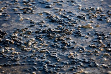 Taştan toprak suyla kirlenmiş.