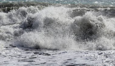 Büyük dalgalar kıyıya vuruyor, beyaz köpükle
