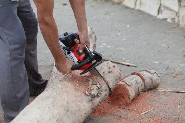 Elektrikli testereli adam kütük kesiyor