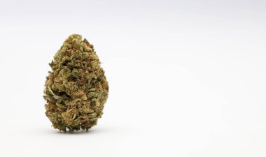 Metin için alanı olan marihuana tomurcukları, beyaz arkaplan