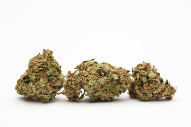 Üç marihuana tomurcuğu. Beyaz arkaplan