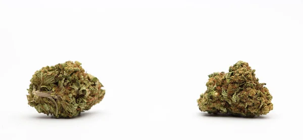 Marijuana Buds Central Space Text White Background — Stock Photo, Image