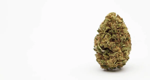Marihuana Knospen Mit Platz Für Text Weißer Hintergrund — Stockfoto