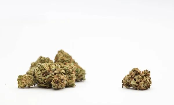 Germogli Marijuana Con Spazio Centrale Testo Sfondo Bianco — Foto Stock
