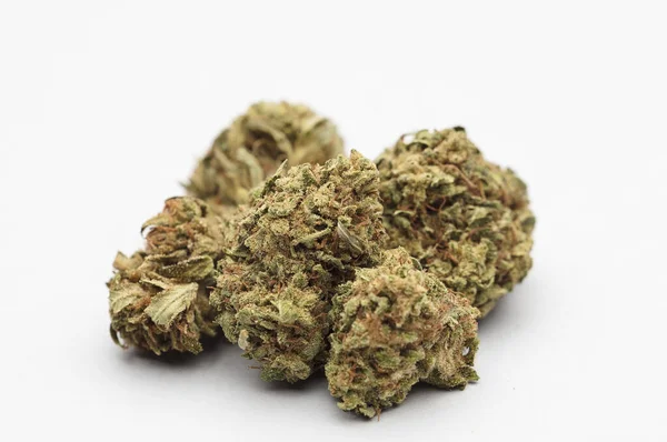 Set Marihuana Knospen Auf Weißem Hintergrund — Stockfoto