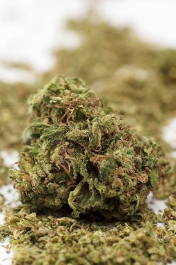 Marihuana tomurcuğu, beyaz arkaplan.