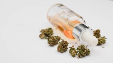 Şişe yağlı CBD (Cannabidiol) ve tomurcuklu damlalar. Beyaz arka plan. CBD kenevir yağını izole etti. THC 'siz