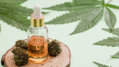 Marihuana yağıyla, yeşil kenevir tomurcukları ve yapraklarıyla birlikte cam bir şişe. yeşil arkaplan
