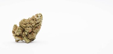 Metin için alanı olan marihuana tomurcukları, beyaz arkaplan