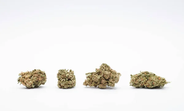 Vier Marihuana Knospen Mit Weißem Hintergrund Und Platz Für Text — Stockfoto