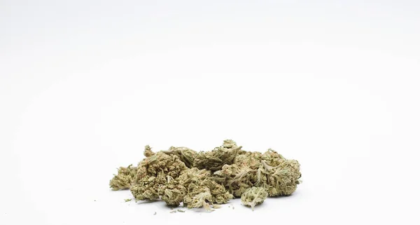 Conjunto Brotes Marihuana Fondo Blanco Espacio Para Texto —  Fotos de Stock