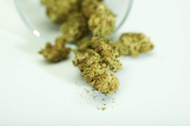 Beyaz arkaplandaki cam kaplardan marihuana tomurcukları çıkıyor, metin için boşluk.