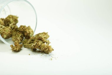 Beyaz arkaplandaki cam kaplardan marihuana tomurcukları çıkıyor, metin için boşluk.