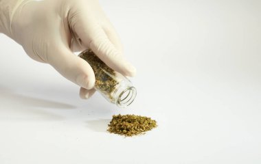 Bir yığın marihuana, eldivenli eller ve cam kap, beyaz arka plan