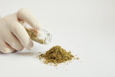 Bir yığın marihuana, eldivenli eller ve cam kap, beyaz arka plan
