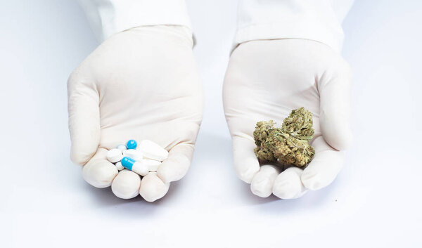 hands of a doctor with pharmaceutical industry pills, and marijuana in buds, choice of natural medicine, choice of pharmacological medicine, white background