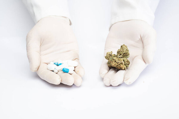 hands of a doctor with pharmaceutical industry pills, and marijuana in buds, choice of natural medicine, choice of pharmacological medicine, white background