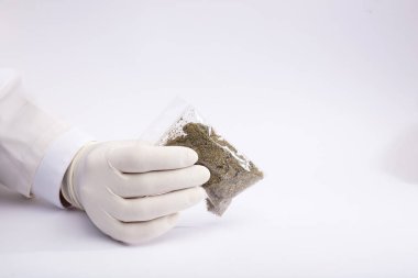 Ellerinde eldivenle kenevir ve uyuşturucu torbası, beyaz arka plan. Marihuana, kenevir ve uyuşturucu satma kavramı.