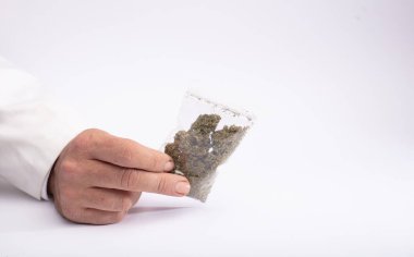 Ellerinde kenevir ve uyuşturucu torbası, teslimat jesti, beyaz arka plan. Esrar, kenevir ve uyuşturucu satma kavramı.
