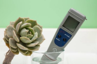 Beyaz arka planda, bir bardak suyun içindeki bitki ve pH ölçer. İçme suyu özelliklerinin ölçümü. Suyun sertliği. Su kalitesi analizcisi içiyorum. Yeşil arkaplan