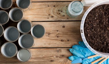 Evde kendi kendine yetme, para biriktirme, geri dönüşüm, atıkları azaltmak ve kendi yiyeceğini yetiştirmek için yeniden kullanma.