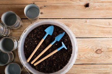 Bahçe için geri dönüşümlü tencereler, çalışma masasında bahçe aletleri