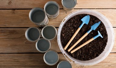 Bahçe için geri dönüşümlü tencereler, çalışma masasında bahçe aletleri