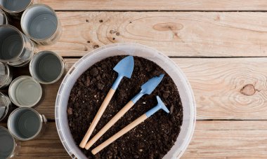Bahçe için geri dönüşümlü tencereler, çalışma masasında bahçe aletleri