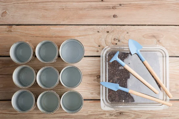 Kırsal ahşap bir masa üzerinde geri dönüşümlü alüminyum teneke kutuları olan mini bahçe.