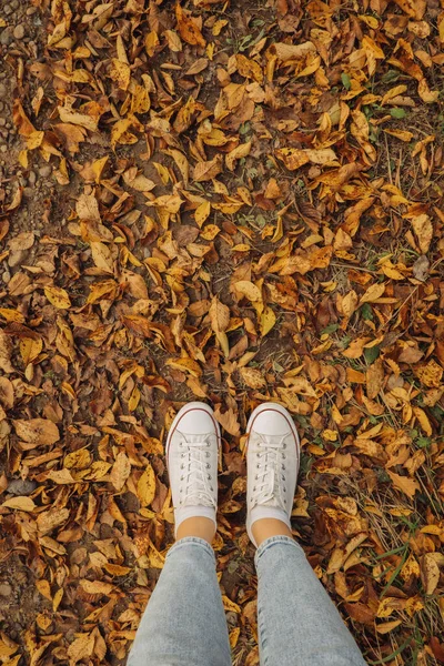 秋の紅葉の時期には女性用の白いスニーカーを履いています 垂直大気の秋のコンテンツ 選択的焦点 ストック画像