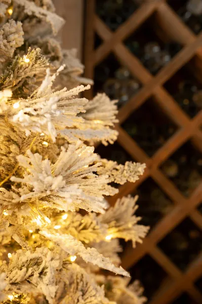 Vánoční Strom Pozadí Tmavý Dřevěný Zásobník Pro Láhev Velkým Množstvím — Stock fotografie