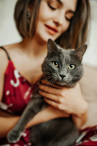 Woman Carefully Holds Her Gray Cat Her Arms Taking Care — Stockfoto