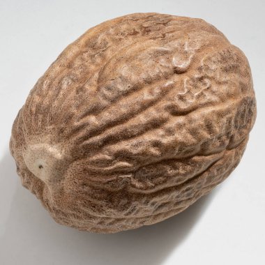 Detaylı ve büyük boy hindistan cevizi fotoğrafı..