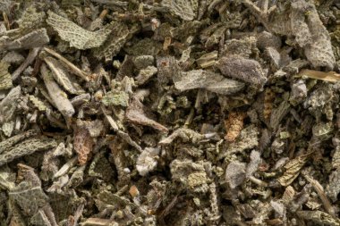 Ayrıntılı ve büyük boy adaçayı..