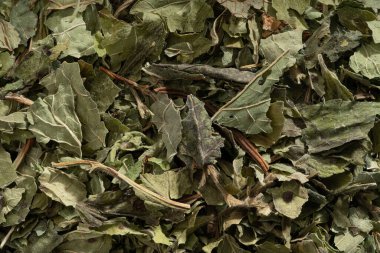 Detaylı ve büyük boy limon merhemi..