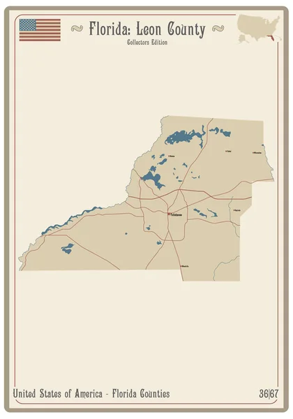 Mappa Una Vecchia Carta Gioco Della Contea Leon Florida Usa — Vettoriale Stock