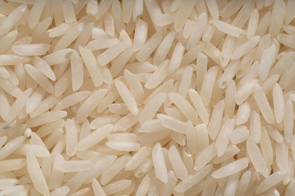 바스카 쌀알의 가늘고 가까이 — 스톡 사진