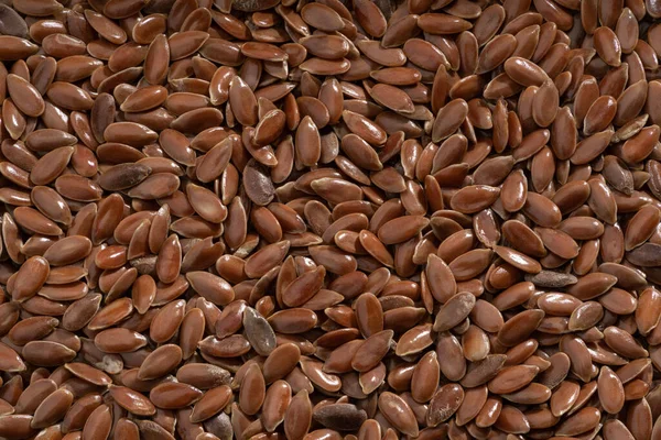 Detailed Large Close Shot Flaxseed — Photo