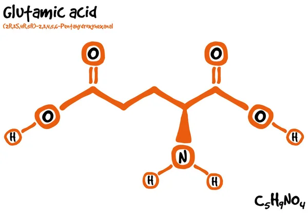 Molécula Extraída Aislada Grande Detallada Forma Ácido Glutámico — Vector de stock