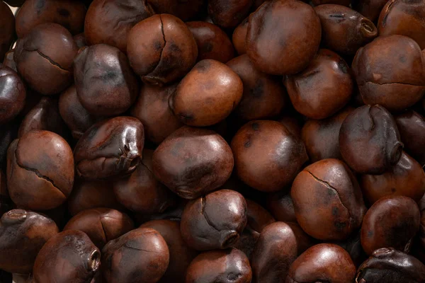Detailed Large Close Shot Roasted Lupin Beans — Stock Photo, Image