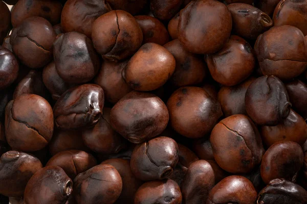 Detallada Grande Toma Cerca Frijoles Lupin Tostados —  Fotos de Stock