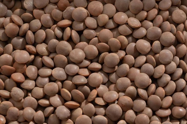 Detailed Large Close Shot Lentils — Stock Photo, Image