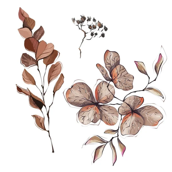 Hnědé Listy Clip Art Ručně Kreslené Květiny — Stock fotografie