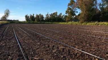 Sardunya 'da yolcu turistlerle yüzen teknenin insansız hava aracı görüntüsü.
