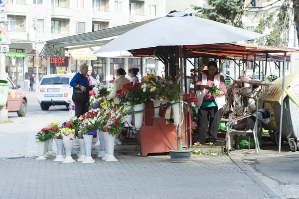 Brisk kytička obchod na ulici města — Stock fotografie